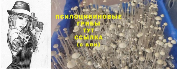 соль курить ск Абаза