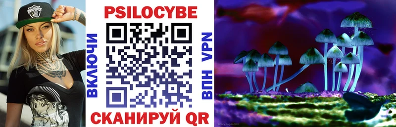 где можно купить   Райчихинск  Галлюциногенные грибы мухоморы 