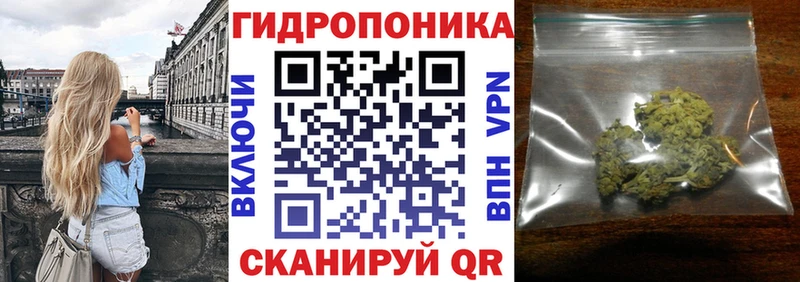 закладка  Райчихинск  Конопля AK-47 